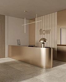 Проект "FLOW"