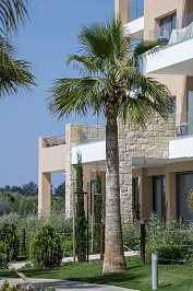 Project "Limassol Park"